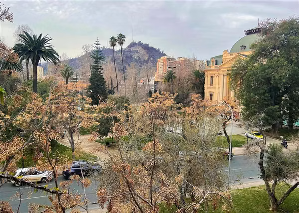 Gran Dpto. 220 m2 amplia vista al Parque Forestal / Museo