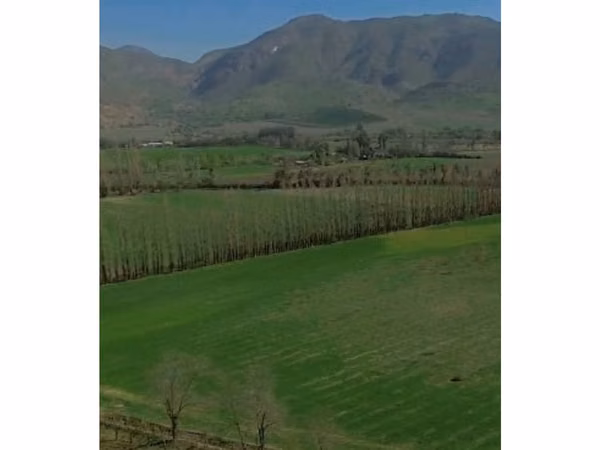 Vende parcelas de 5.000 mt2, rol propio, en Rinconada de Los Andes. Parcelación San Guillermo. Crédito Directo.