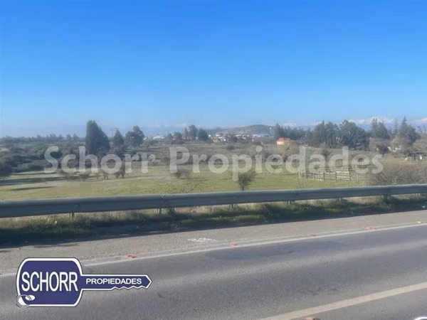 Agrícola en venta en Maule
