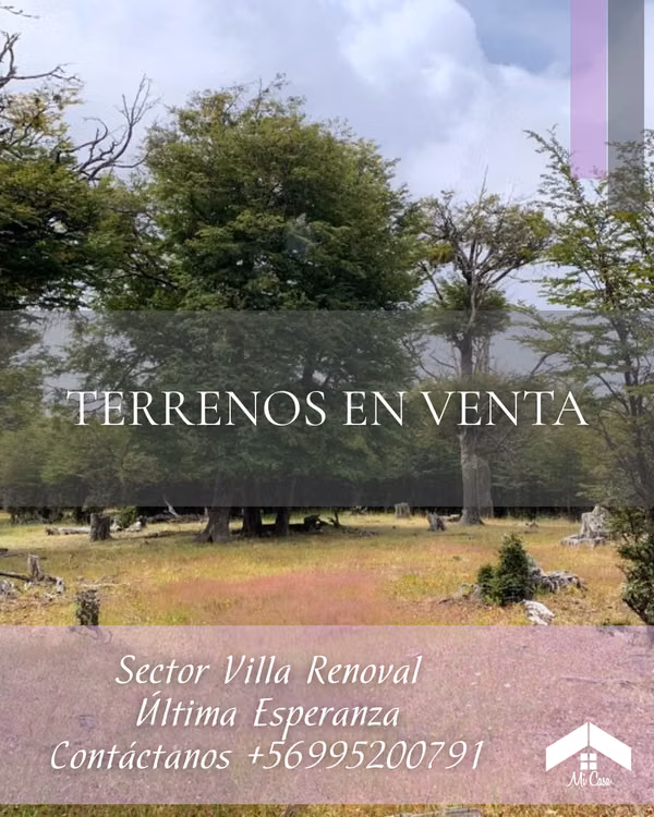 PARCELAS SECTOR ALTOS DE RENOVAL