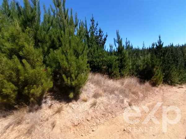Venta Parcela 5000 m2 en Pichilemu