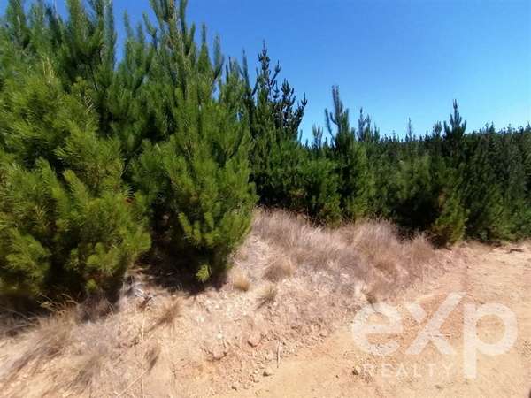 Venta terreno Agrícola en Pichilemu