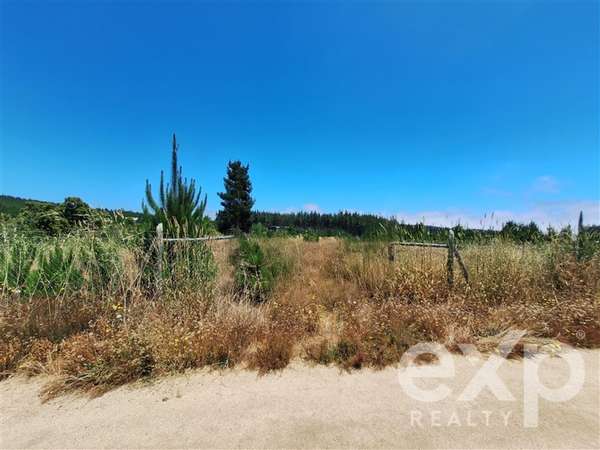VENTA SITIO AGRICOLA 121 en Pichilemu
