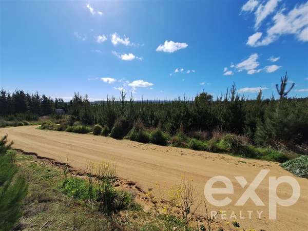 Vende Parcela L184 en Pichilemu