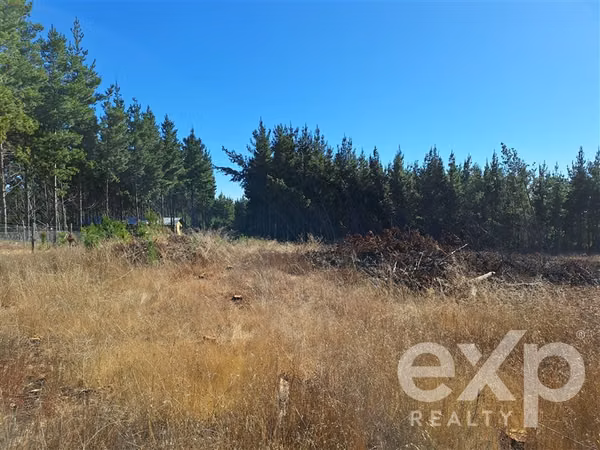 Terreno L187 en venta en Pichilemu.