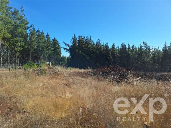 Sitio L187 en venta en Pichilemu.