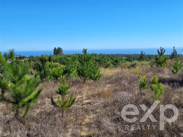 Venta Sitio L109 5.000m2 vista al mar, Pichilemu