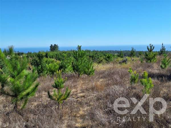 Venta Parcela L109 5.000 m2 vista al mar, Pichilemu