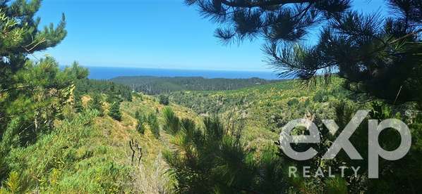 Vende Parcela L296 10.500m2 con vista al mar, Pichilemu