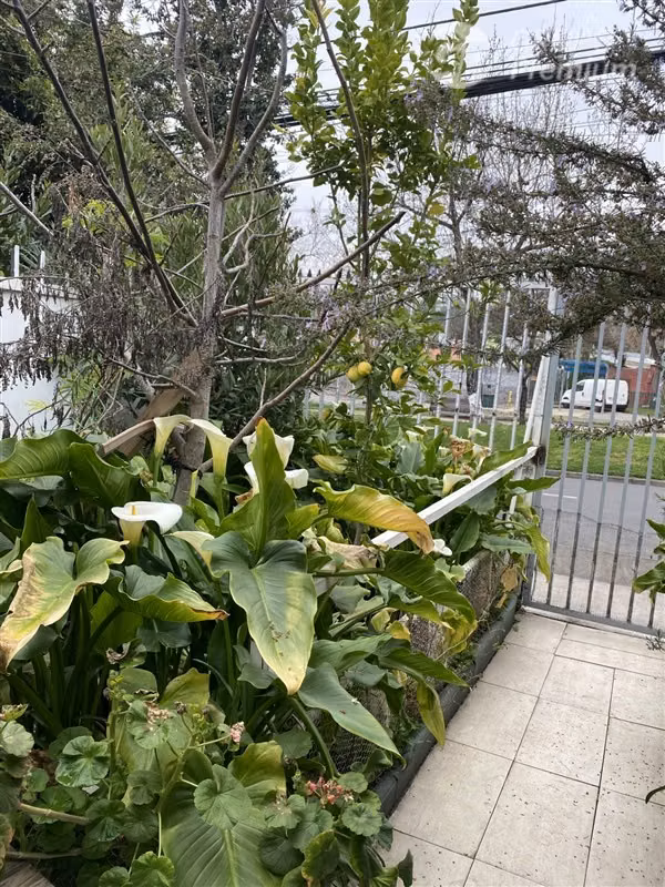 Casa en venta de 3 dorm. en Las Condes