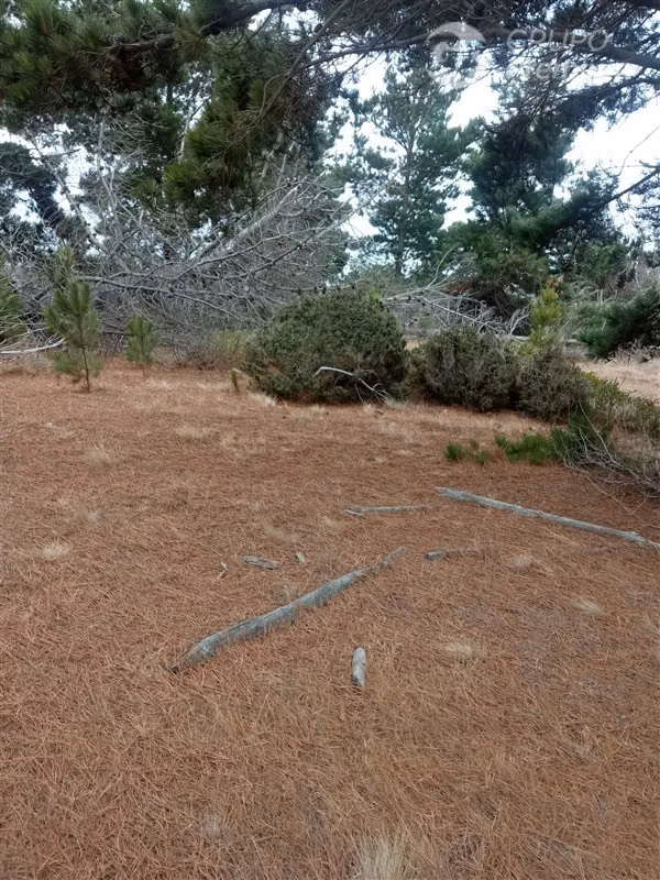 Parcela en venta en Valparaíso