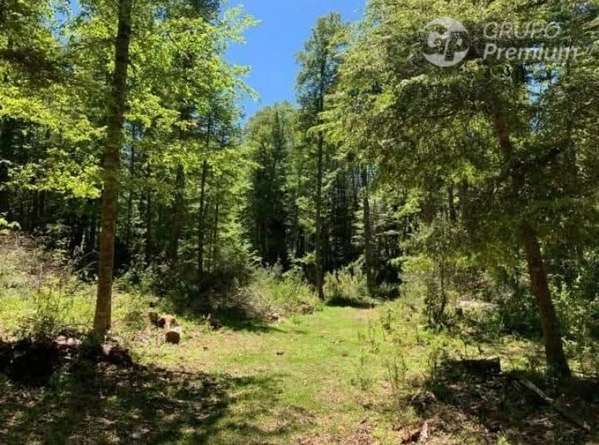 Parcela en venta en Curarrehue