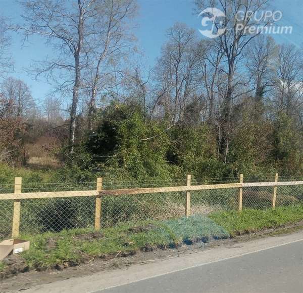 Parcela en venta 19.800 mts2 Río Negro, Osorno