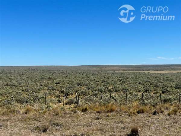 Parcela en venta en Porvenir en Ruta Y 65
