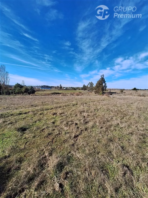 Terreno Agrícola en arriendo en Laja