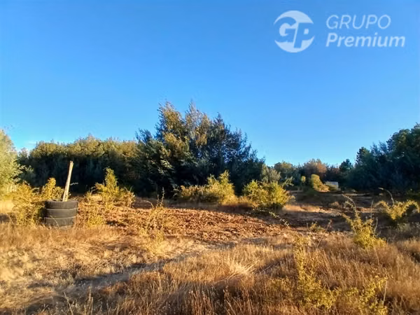 Sitio 5000m con bodega. en venta en Pinto