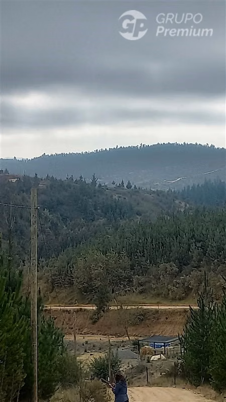 Sitio en venta en Hualañe