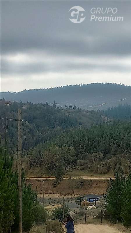 Sitio en venta en Hualañe