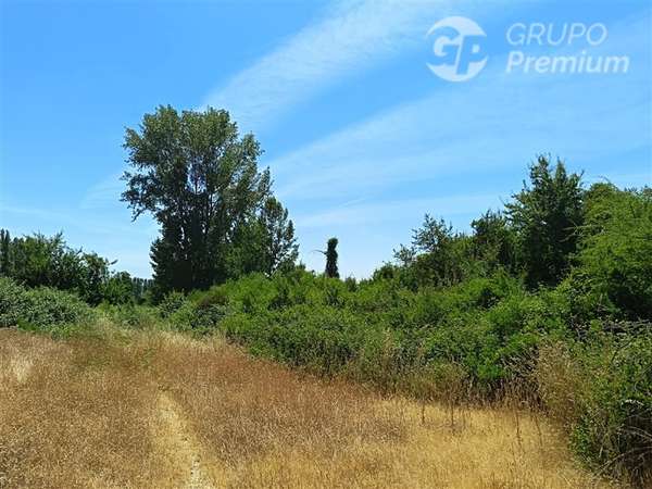Parcelas 5000 m2 en venta Sector Retiro Camino a Villaseca.