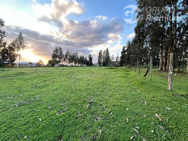 Parcela en venta en Nueva Imperial