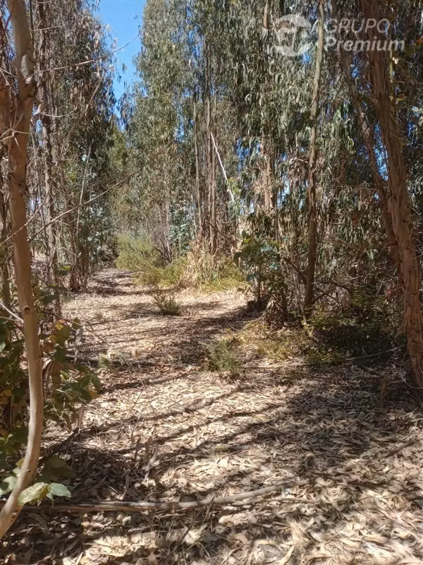 Venta de Parcela 10,2 Htas. en Ruta a Rapel de Navidad
