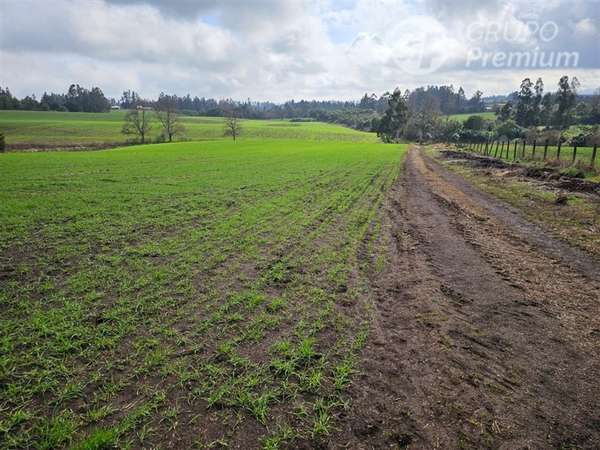 Parcela en venta en Padre las Casas