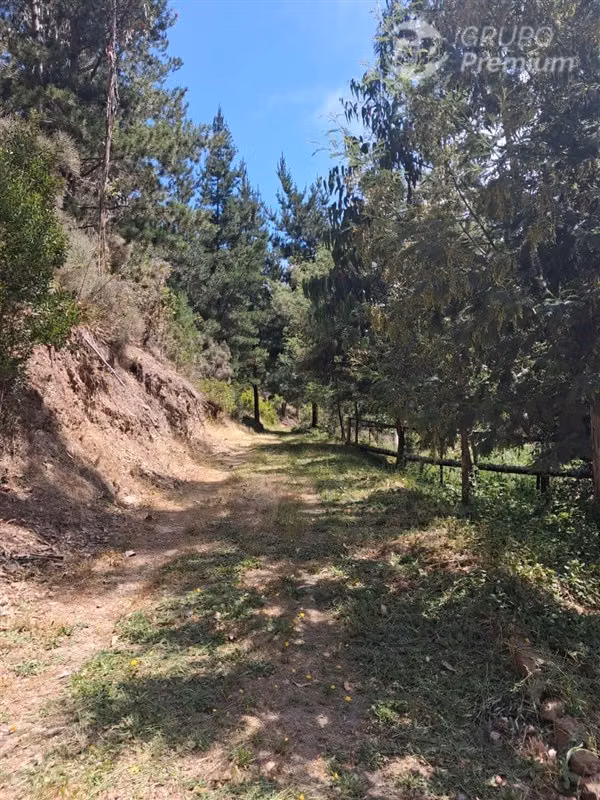 Venta de parcela en Paredones. Oportunidad