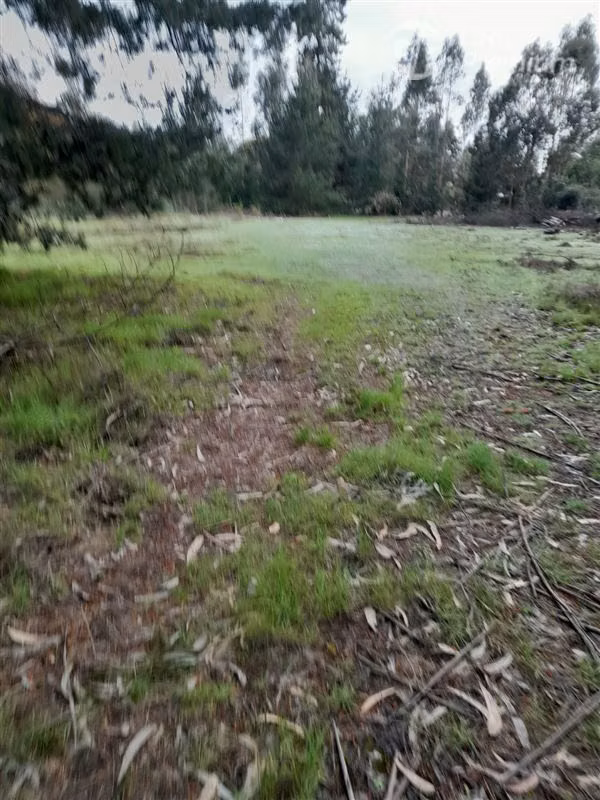 Sitio en arriendo en Coronel DESDE 1000M2