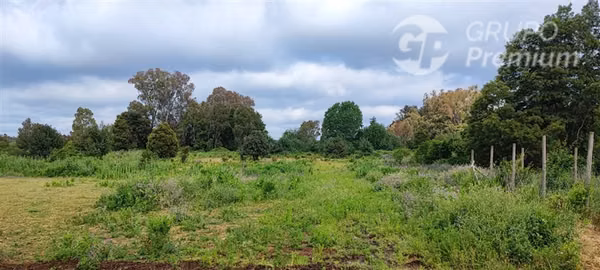 Sitio en venta en Pemuco