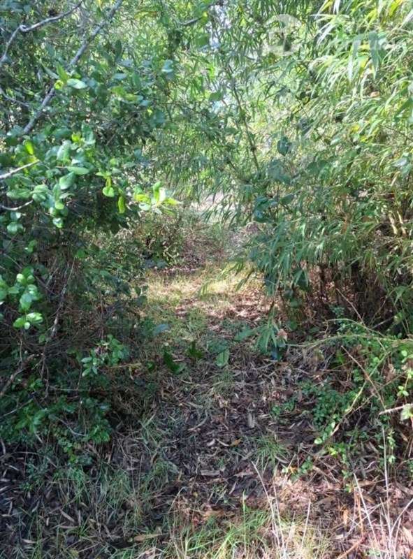 Parcela de 7500 m2 en venta en Quenchi ,Ancud