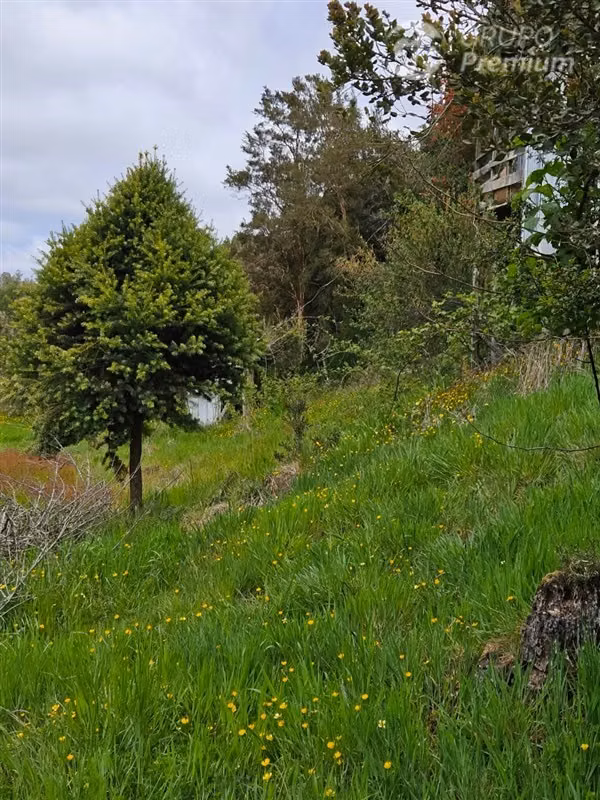Parcela en venta en Ancud