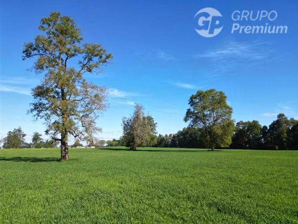 Parcela en venta en Purranque, región de los Lagos