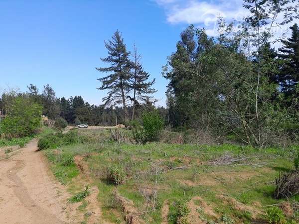 Terreno en venta, reñaca alto en Viña del Mar
