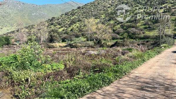 Vendo sitio eriazo Paine 6370 m2 buen terreno costado camino