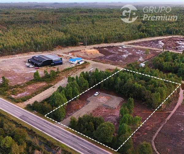 Parcela en venta en Sector la Campana a Orilla de carretera