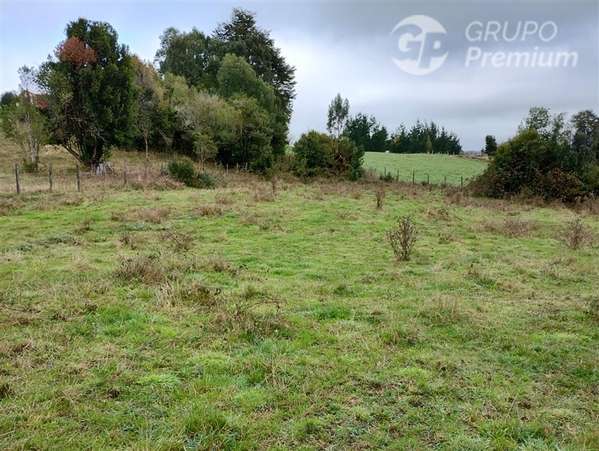 Parcela en venta en Río Bueno 1a orillas de lago Puyehue