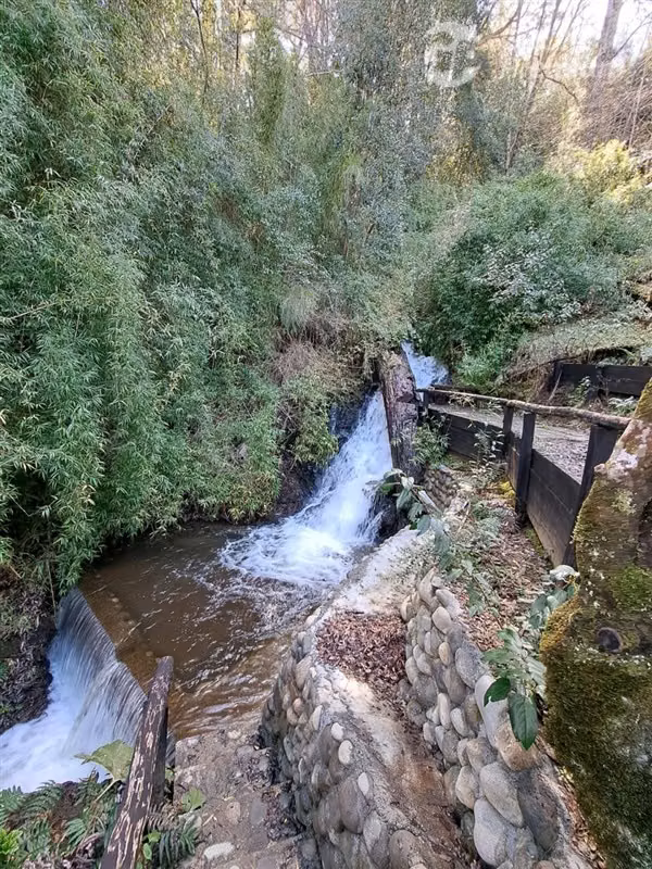 Parcela en venta en Curarrehue