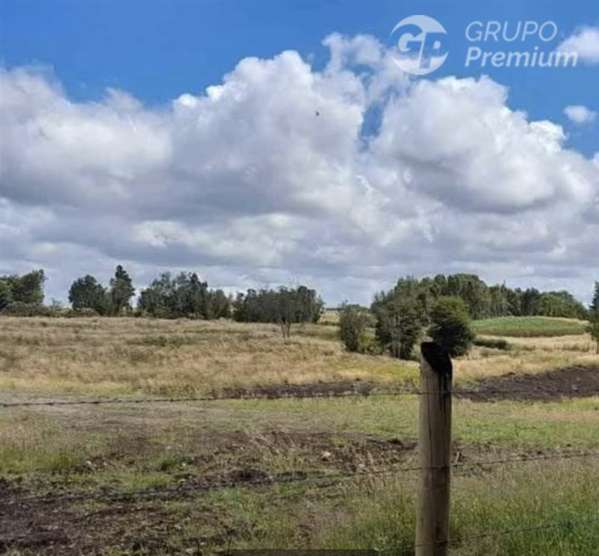 2 Parcelas en venta en Curahue a 3o minutos de Castro 5000m2
