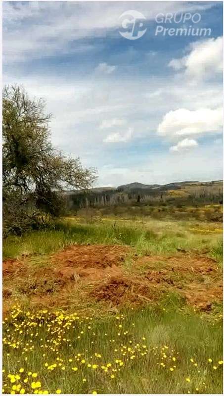 Parcela en arriendo en San Javier