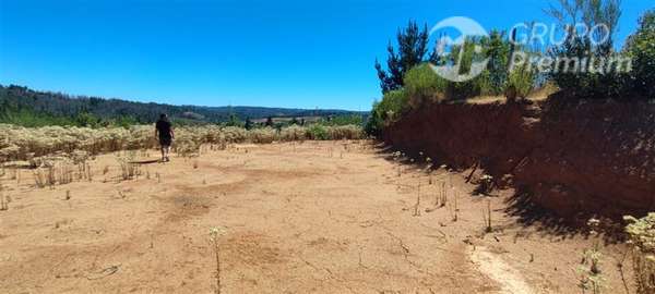 Sitio en venta en sector Puente 7 Florida