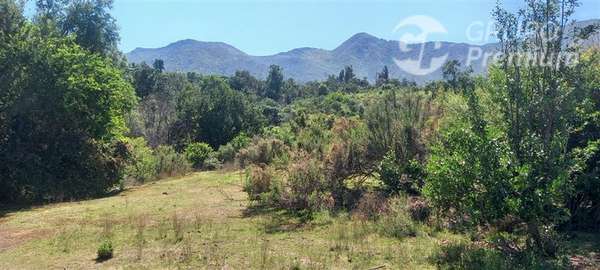 Parcela ideal para proyecto Ecoturismo en venta en Olmué