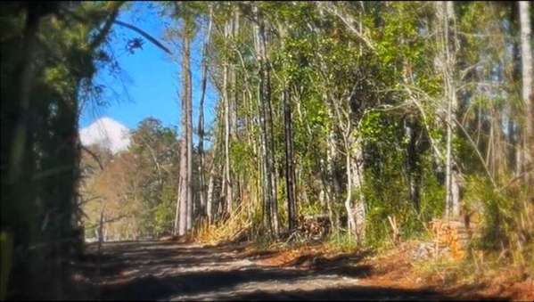 Se vende Parcela de 2,5 ha a solo 10 km de Villarrica