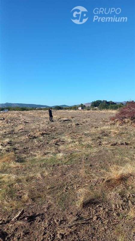 Sitio en venta en Cauquenes