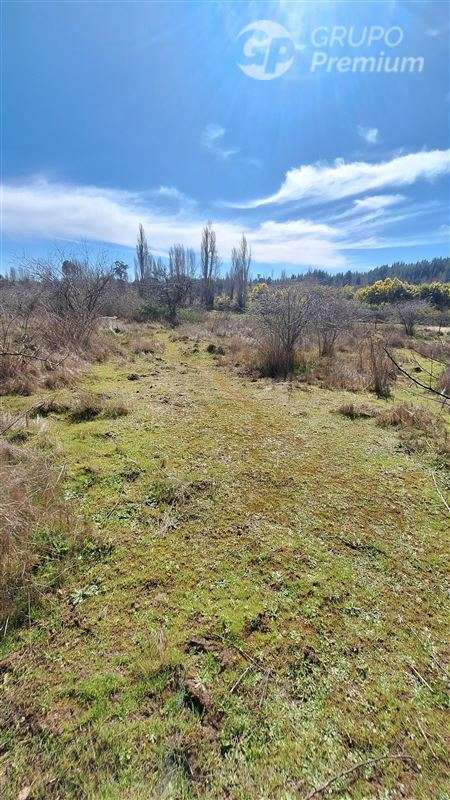Parcela en venta en Tomeco, Yumbel