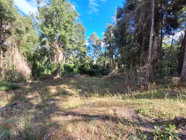 Exclusiva Parcela en Venta – Sector Pichihuape, Valdivia
