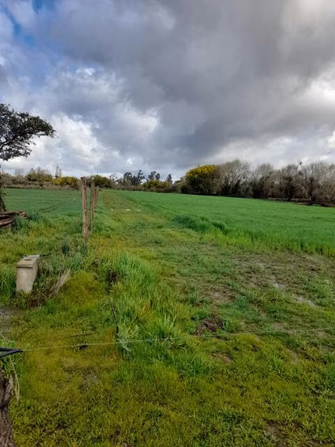 Parcela en venta en San Carlos