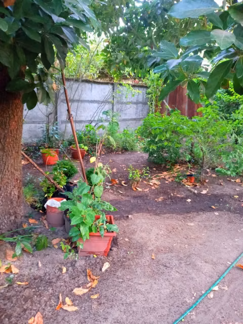 Casa en venta de 6 dorm. en Chillán
