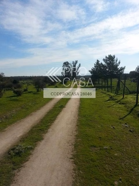 Parcela en venta en Melipilla