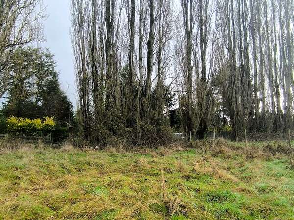 5.700 m² en sector consolidado Osorno (153364)
