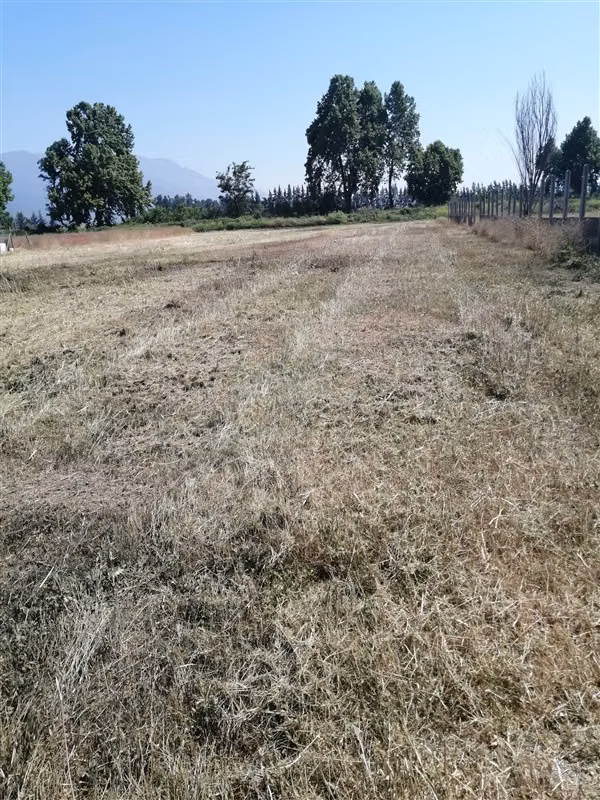 PARCELA VENTA SANTA AMELIA